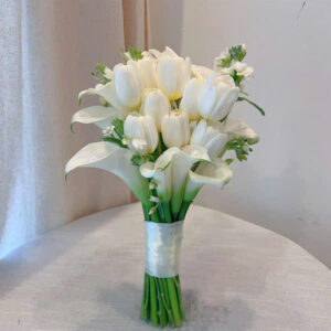 Cally mix Tulip